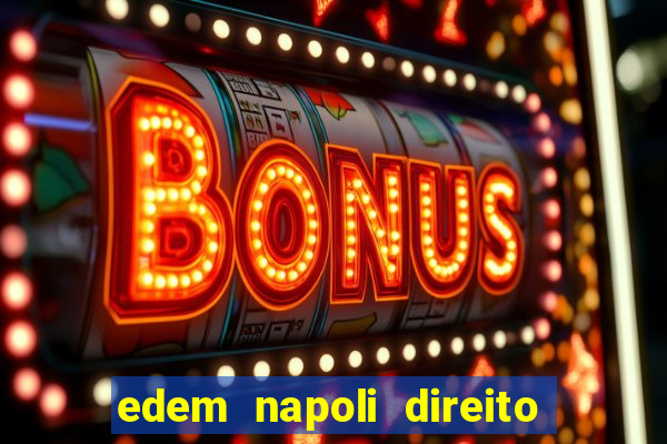 edem napoli direito constitucional pdf